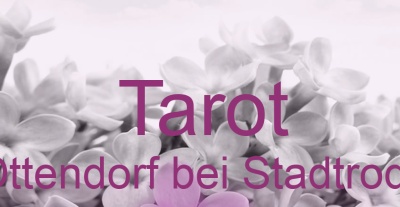 Tarot Ottendorf bei Stadtroda | Top-Experten für Kartenlegen, Wahrsagen, Hellsehen, Zukunftsdeutung. Tarot Ottendorf bei Stadtroda | Top-Experten für Kartenlegen, Wahrsagen, Hellsehen, Zukunftsdeutung.